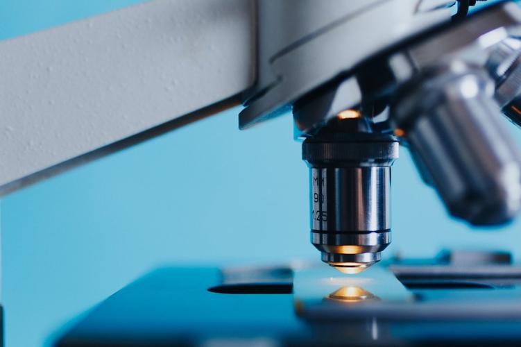 新的电子显微镜技术可能会缩短疫苗研发时间谷歌推出 vertex ai 预测
